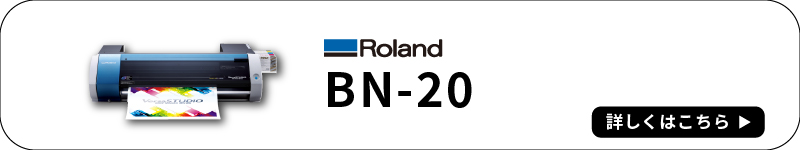 BN-20