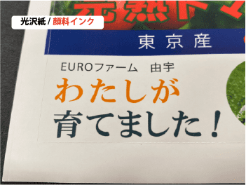 光沢紙で比較結果6