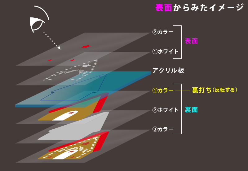 表面からみたイメージ