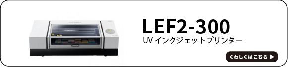 LEF2-300